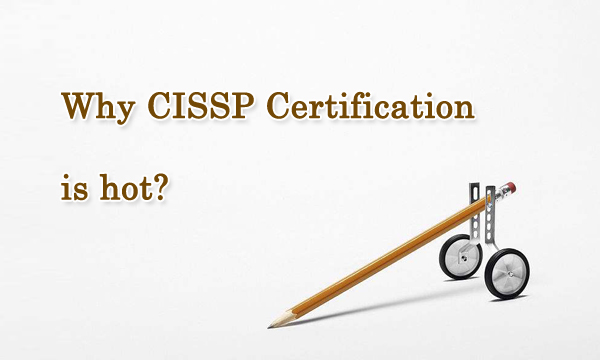 Why CISSP Certification is hot