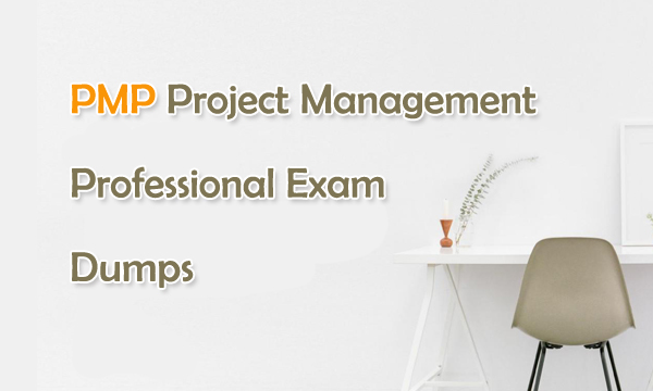 PMP Project Management Professional Exam Dumps