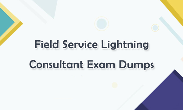 Field Service Lighting Consultant Exam Dumps