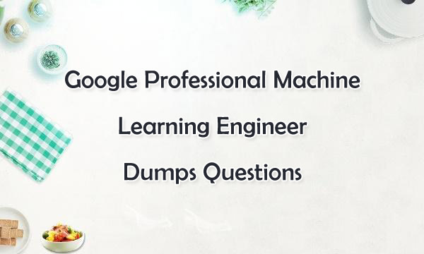 Google Professional Machine Learning Engineer Dumps Questions