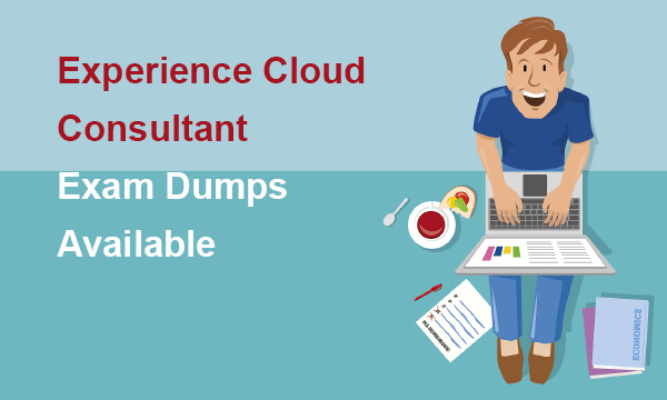 Experience Cloud Consultant Exam Dumps Available