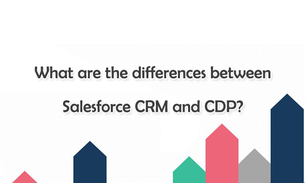 What are the Differences Between Salesforce CRM and CDP?