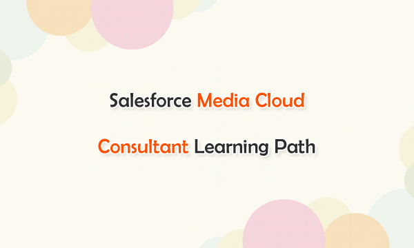 Salesforce Media Cloud Consultant Learning Path